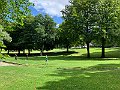 IMG_8258