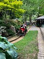 IMG_8342