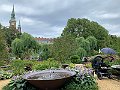 IMG_8353