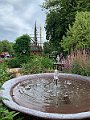 IMG_8354