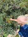 IMG_8437 (2)