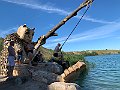 IMG_8541