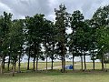 IMG_8272