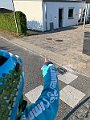 IMG_8950