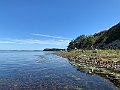 IMG_8780
