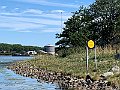 IMG_8781