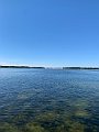 IMG_8794