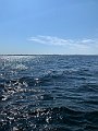 IMG_8909