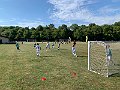 IMG_8650