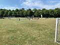 IMG_8652