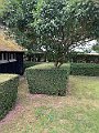 IMG_0408