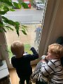 IMG_0635