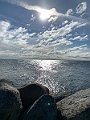 IMG_1018(1)