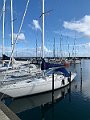 IMG_0976(2)