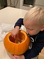 IMG_1403(1)