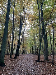 IMG_1422(1)
