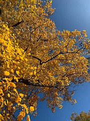 IMG_1428(1)