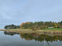 IMG_1546