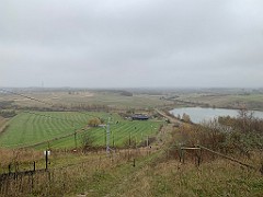 IMG_1614(1)