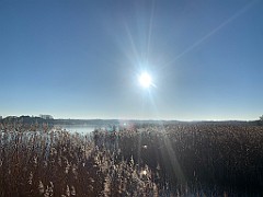 IMG_1699(2)