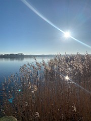 IMG_1700(1)