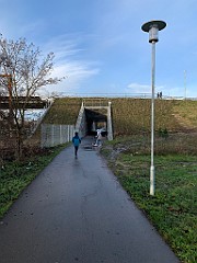 IMG_2060(2)