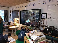 IMG_1729(1)