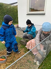 IMG_2023