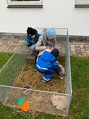 IMG_2024
