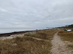 IMG_2092(2)
