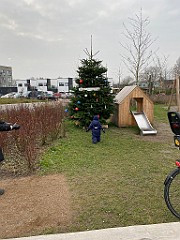 IMG_7910(1)