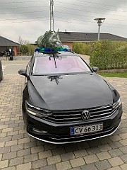 IMG_1789(1)