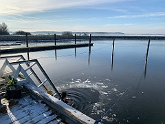 IMG_2714(1)