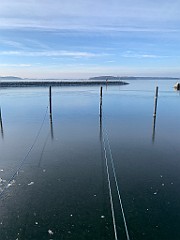 IMG_2715