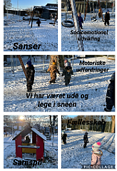 IMG_2785