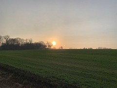 IMG_2853(1)