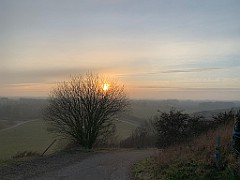 IMG_2864(1)