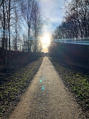 IMG_2404(1)