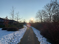 IMG_2522(1)