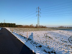 IMG_2523