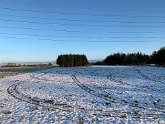 IMG_2524(1)