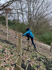 IMG_2990(1)
