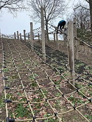 IMG_2992(1)
