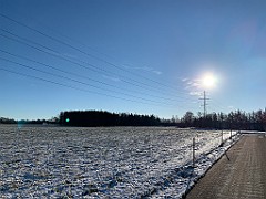IMG_2689(1)