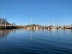 IMG_2570(1)