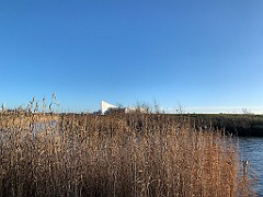 IMG_2583(1)