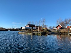 IMG_2593