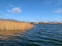 IMG_2626(1)