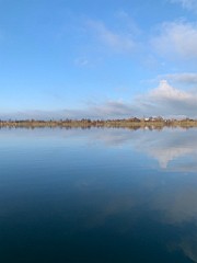 IMG_2374(1)