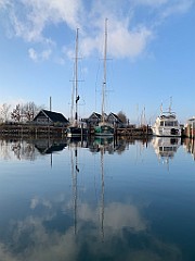 IMG_2375(1)